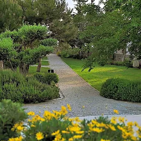 Otel Dorman Gümbet